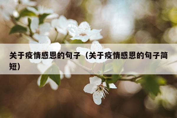 关于疫情感恩的句子（关于疫情感恩的句子简短）