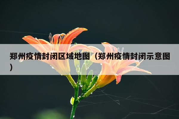 郑州疫情封闭区域地图（郑州疫情封闭示意图）