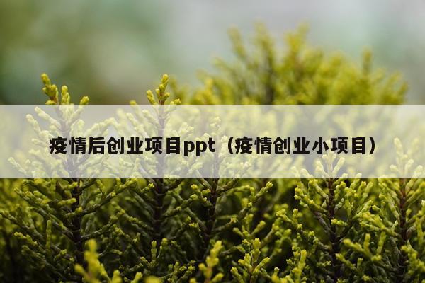 疫情后创业项目ppt（疫情创业小项目）
