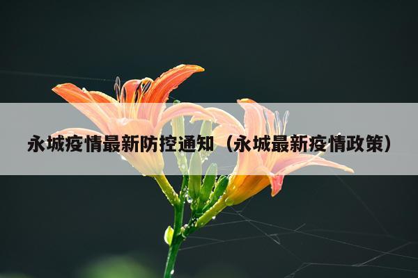 永城疫情最新防控通知（永城最新疫情政策）