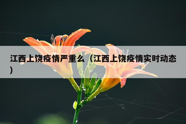 江西上饶疫情严重么（江西上饶疫情实时动态）