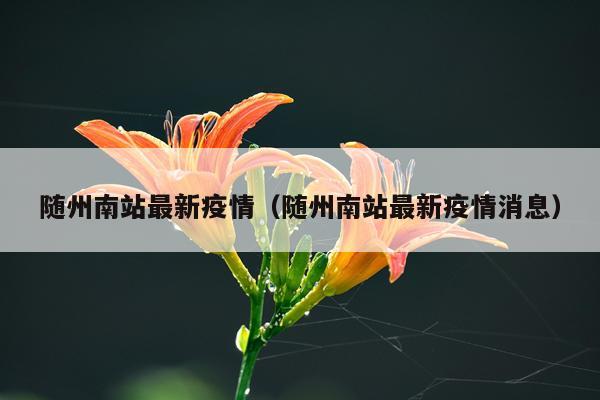 随州南站最新疫情（随州南站最新疫情消息）