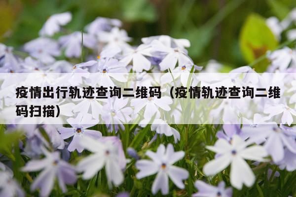 疫情出行轨迹查询二维码（疫情轨迹查询二维码扫描）