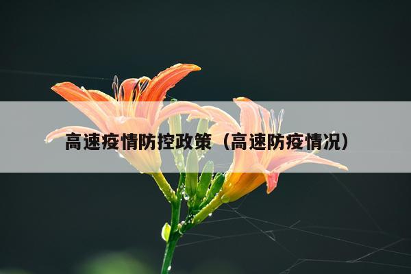 高速疫情防控政策（高速防疫情况）