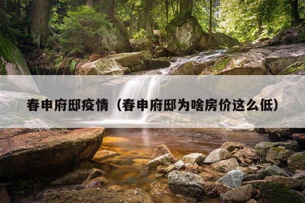 春申府邸疫情（春申府邸为啥房价这么低）