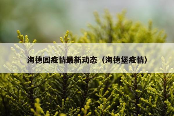 海德园疫情最新动态（海德堡疫情）