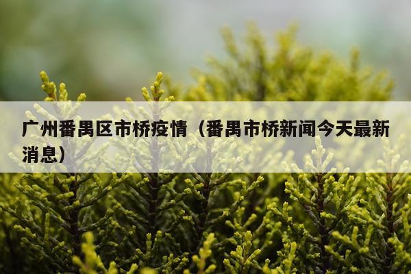 广州番禺区市桥疫情（番禺市桥新闻今天最新消息）