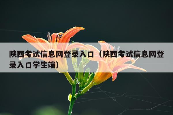 陕西考试信息网登录入口（陕西考试信息网登录入口学生端）