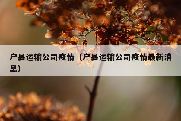 户县运输公司疫情（户县运输公司疫情最新消息）