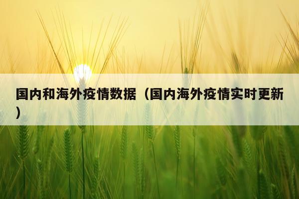 国内和海外疫情数据（国内海外疫情实时更新）