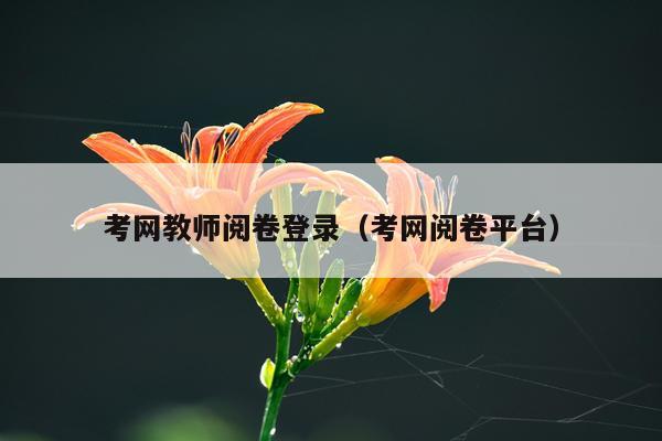 考网教师阅卷登录（考网阅卷平台）