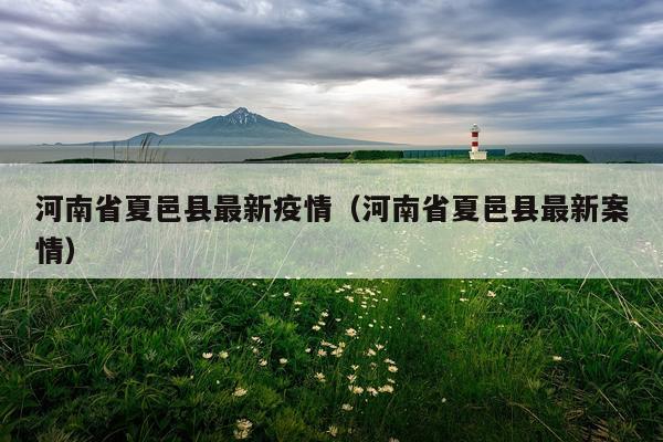 河南省夏邑县最新疫情（河南省夏邑县最新案情）