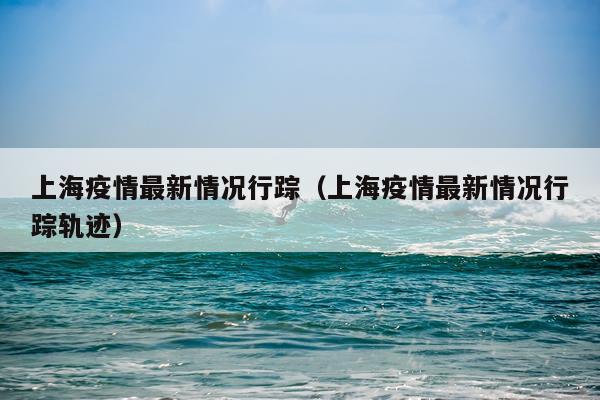 上海疫情最新情况行踪（上海疫情最新情况行踪轨迹）