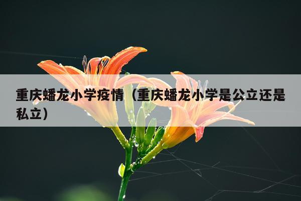 重庆蟠龙小学疫情（重庆蟠龙小学是公立还是私立）