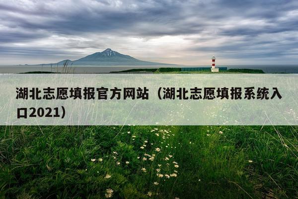 湖北志愿填报官方网站（湖北志愿填报系统入口2021）