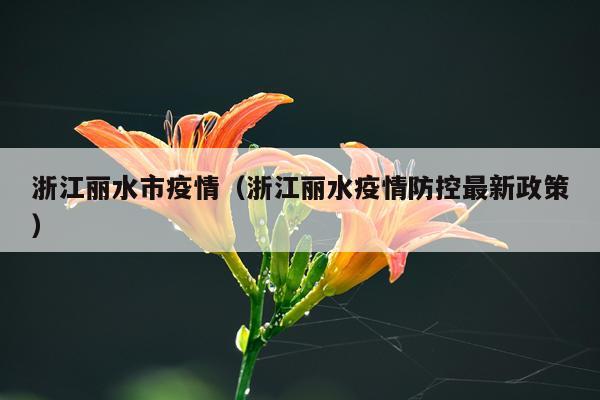 浙江丽水市疫情（浙江丽水疫情防控最新政策）