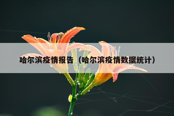 哈尔滨疫情报告（哈尔滨疫情数据统计）