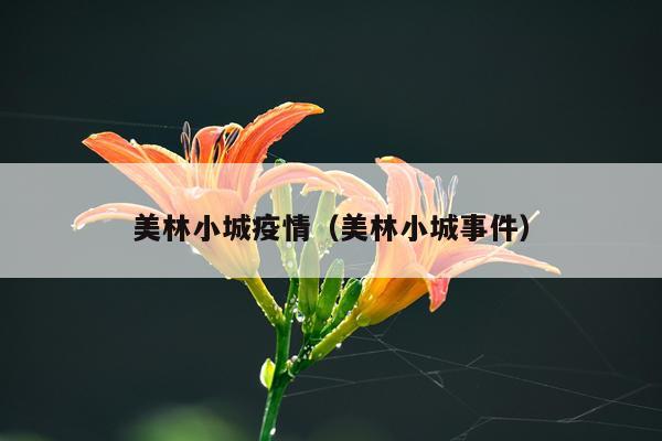 美林小城疫情（美林小城事件）
