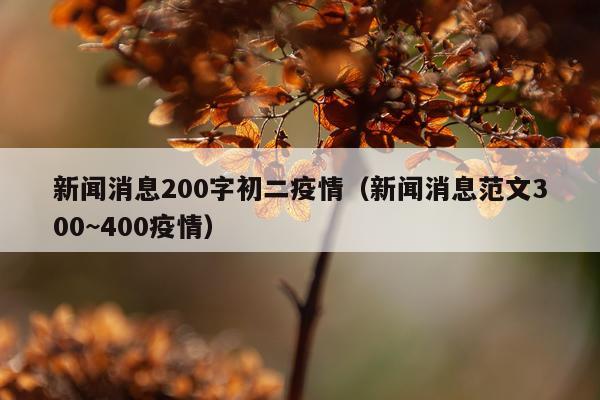 新闻消息200字初二疫情（新闻消息范文300~400疫情）