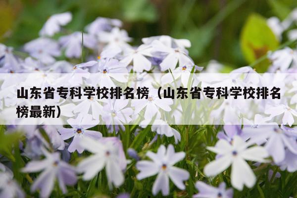 山东省专科学校排名榜（山东省专科学校排名榜最新）