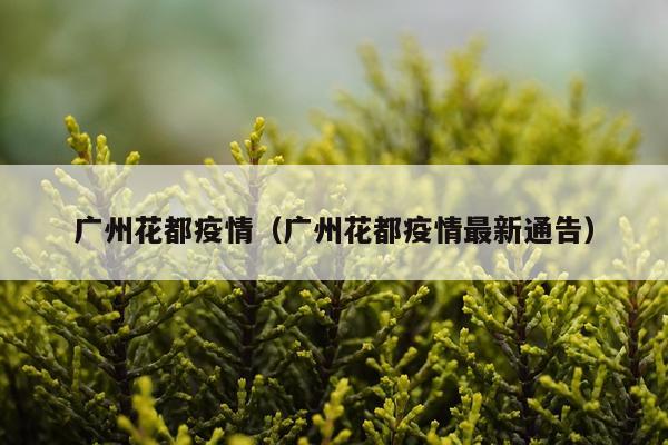 广州花都疫情（广州花都疫情最新通告）