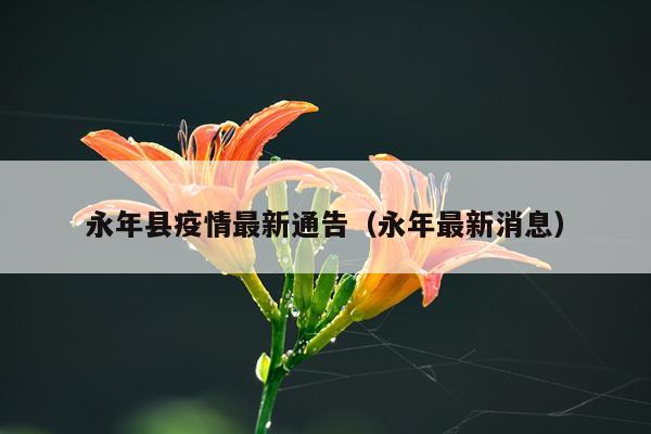 永年县疫情最新通告（永年最新消息）