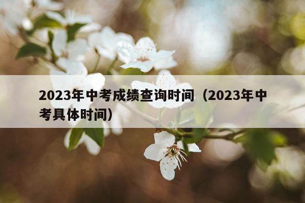 2023年中考成绩查询时间（2023年中考具体时间）