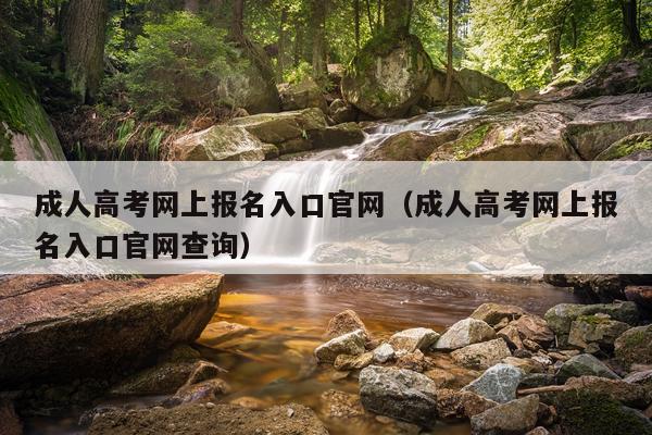 成人高考网上报名入口官网（成人高考网上报名入口官网查询）