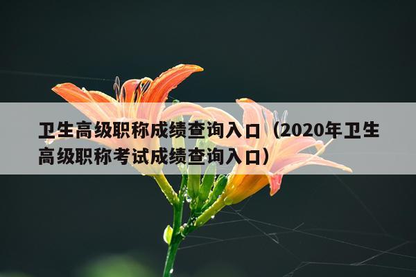 卫生高级职称成绩查询入口（2020年卫生高级职称考试成绩查询入口）