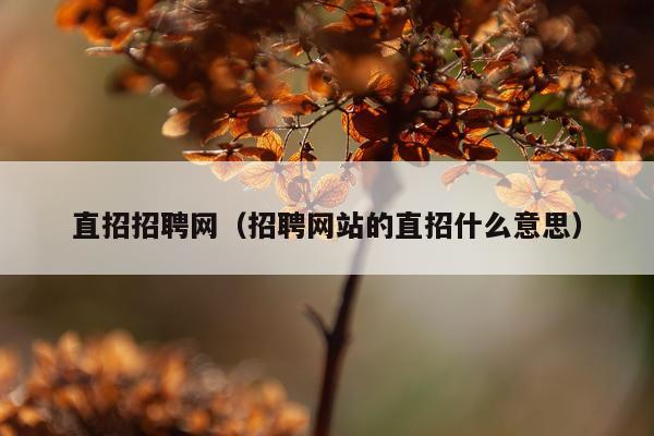 直招招聘网（招聘网站的直招什么意思）
