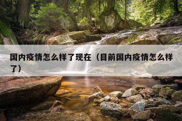 国内疫情怎么样了现在（目前国内疫情怎么样了）