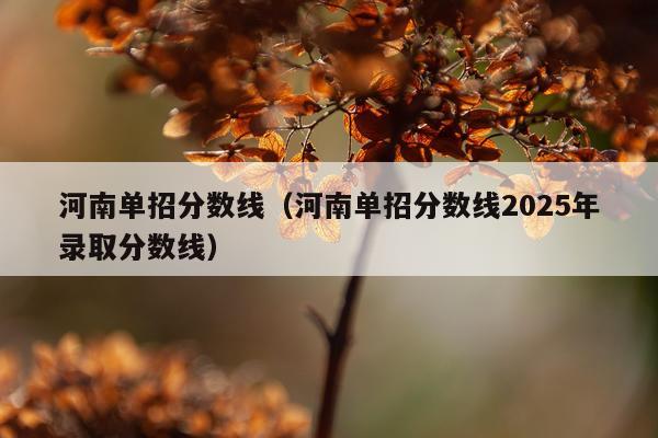 河南单招分数线（河南单招分数线2025年录取分数线）