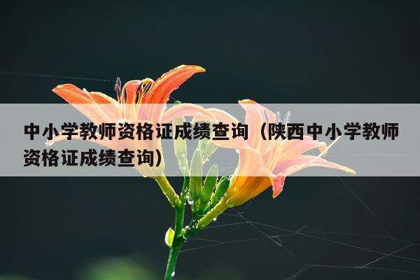 中小学教师资格证成绩查询（陕西中小学教师资格证成绩查询）