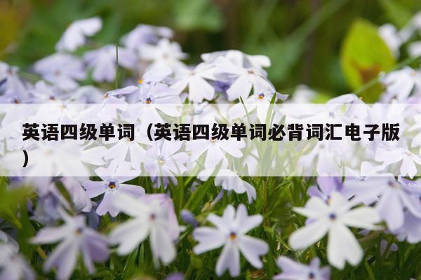 英语四级单词（英语四级单词必背词汇电子版）