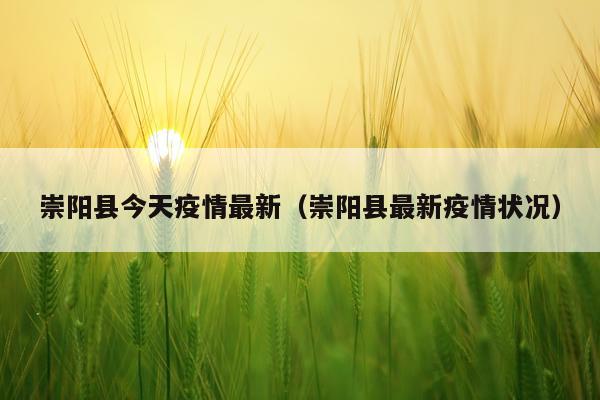 崇阳县今天疫情最新（崇阳县最新疫情状况）