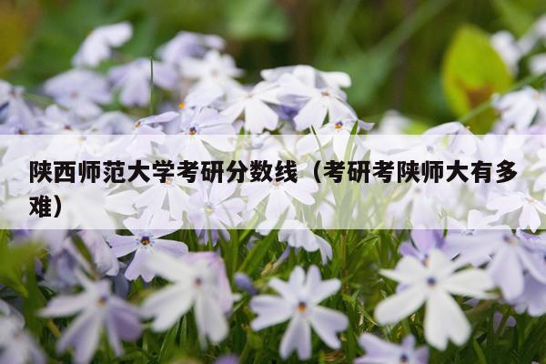 陕西师范大学考研分数线（考研考陕师大有多难）