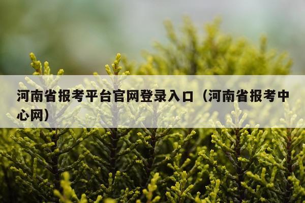 河南省报考平台官网登录入口（河南省报考中心网）
