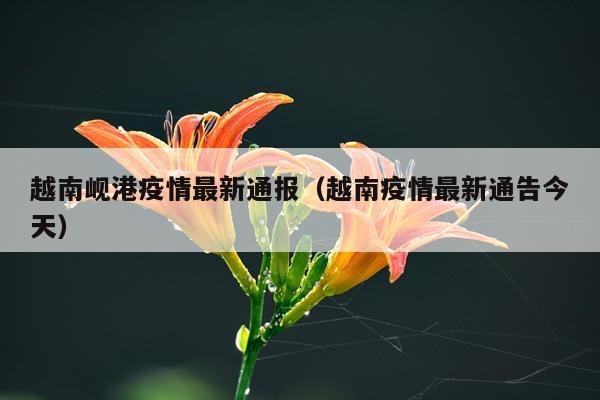 越南岘港疫情最新通报（越南疫情最新通告今天）