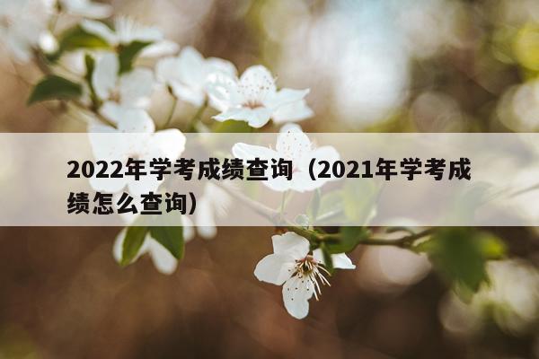 2022年学考成绩查询（2021年学考成绩怎么查询）