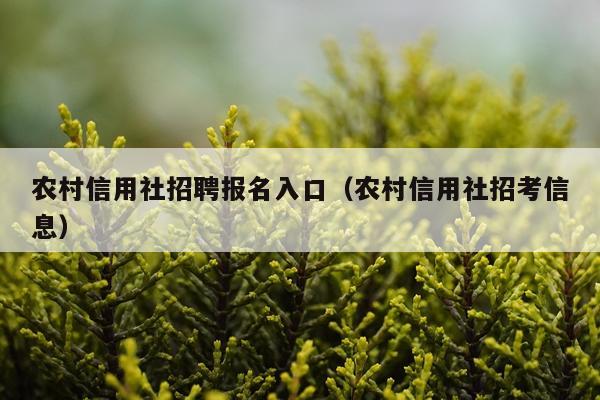 农村信用社招聘报名入口（农村信用社招考信息）