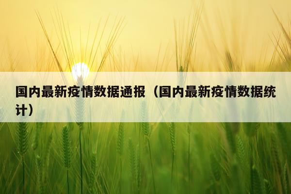 国内最新疫情数据通报（国内最新疫情数据统计）