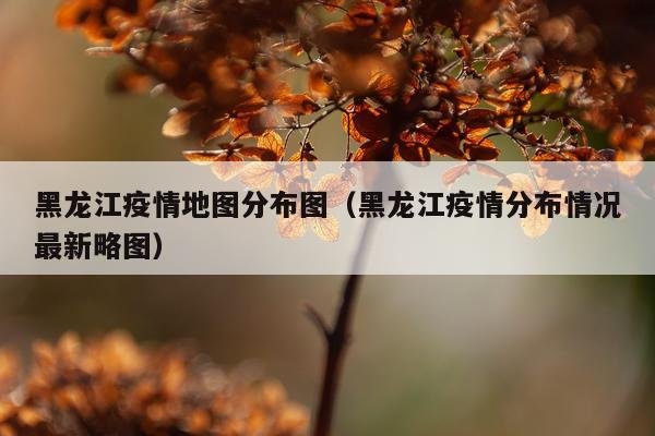 黑龙江疫情地图分布图（黑龙江疫情分布情况最新略图）