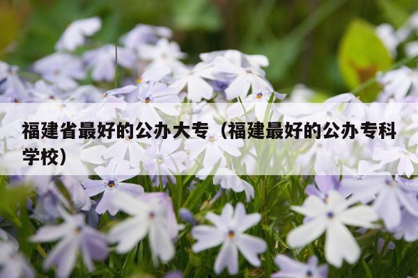 福建省最好的公办大专（福建最好的公办专科学校）