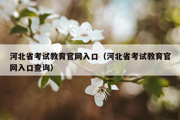河北省考试教育官网入口（河北省考试教育官网入口查询）
