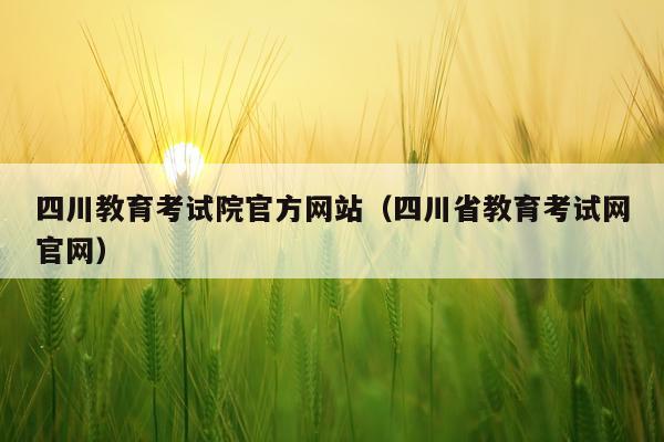 四川教育考试院官方网站（四川省教育考试网官网）