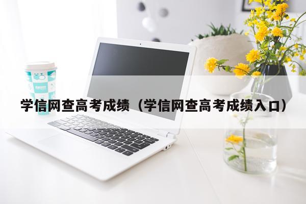 学信网查高考成绩（学信网查高考成绩入口）