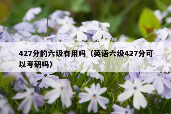 427分的六级有用吗（英语六级427分可以考研吗）