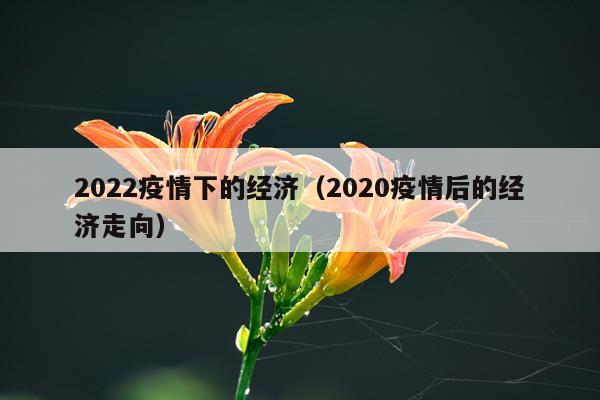 2022疫情下的经济（2020疫情后的经济走向）