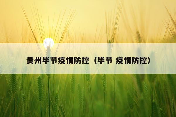 贵州毕节疫情防控（毕节 疫情防控）