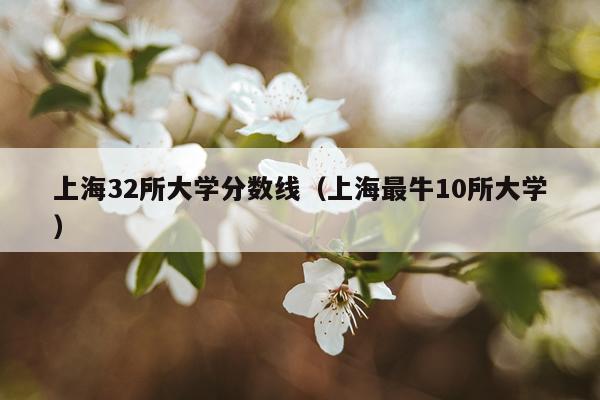 上海32所大学分数线（上海最牛10所大学）